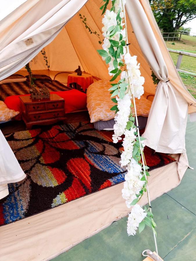 Hôtel Walnut Tree Glamping à Sturry Extérieur photo